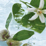 Yves Rocher Gamme Amande Fleur d'Oranger - Monoi