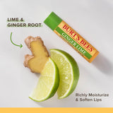 Burt's Bees Baume à lèvres Gingembre & Citron