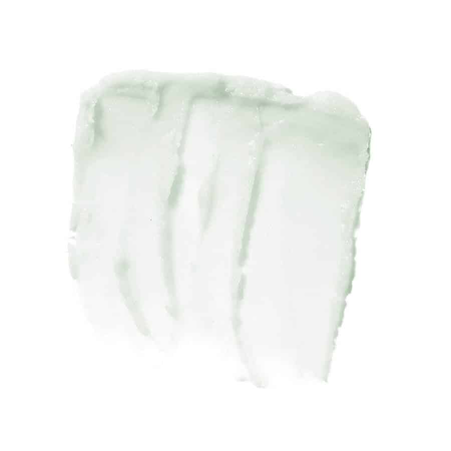 E.L.F. Cosmetics Lip Exfoliator - Gommage Lèvres - Mint Maniac