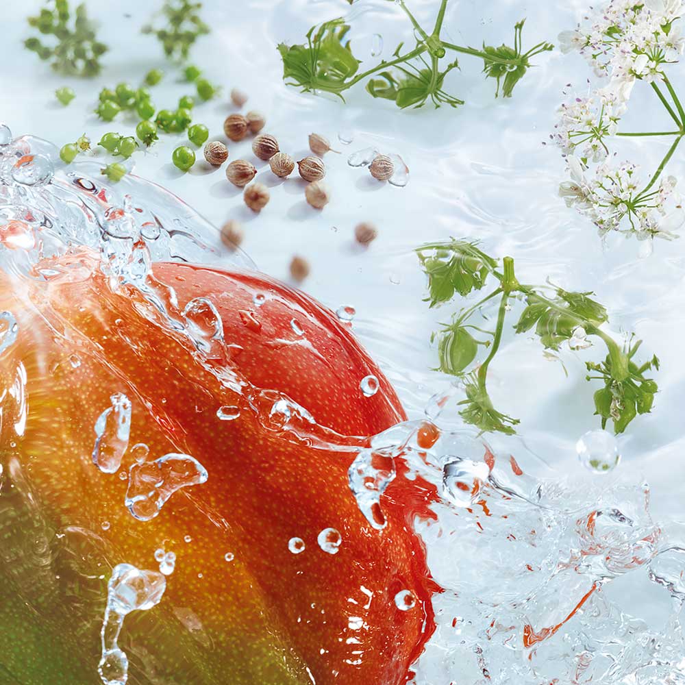 Yves Rocher Bain Douche Evasion Mangue & Coriandre