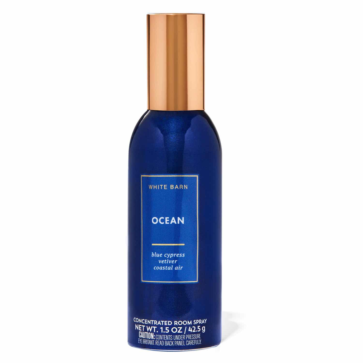 Bath & Body Works OCEAN Spray d'ambiance