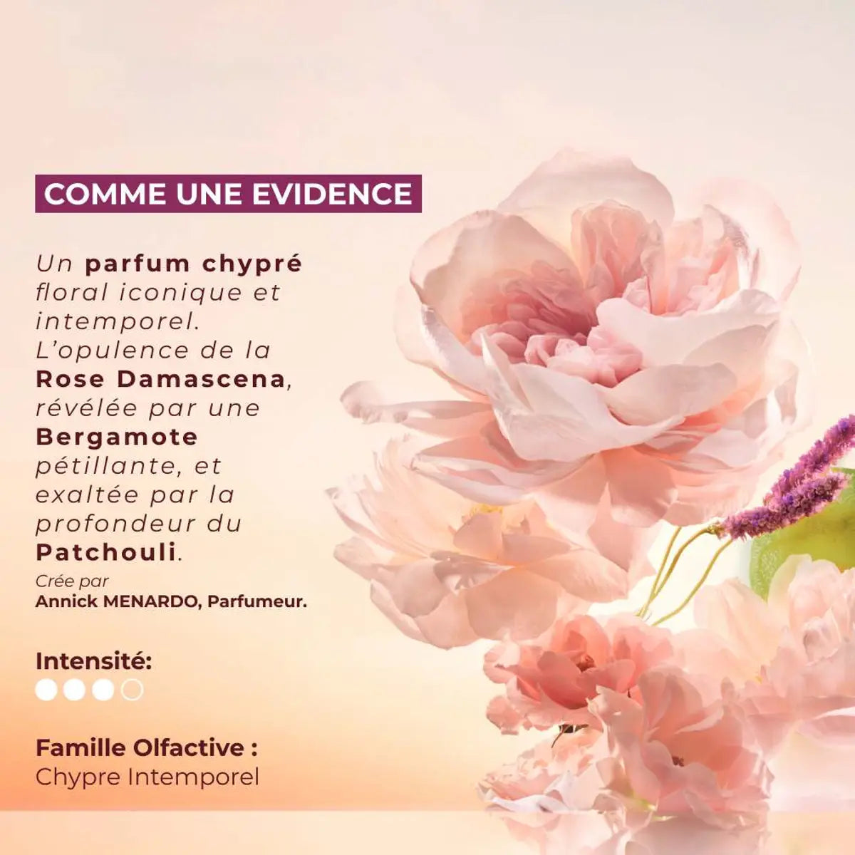 Yves Rocher Comme une Evidence L'Eau de Parfum