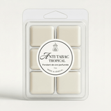 Fondants de Cire Parfumés pour Maison - 6 Cubes (70 g)