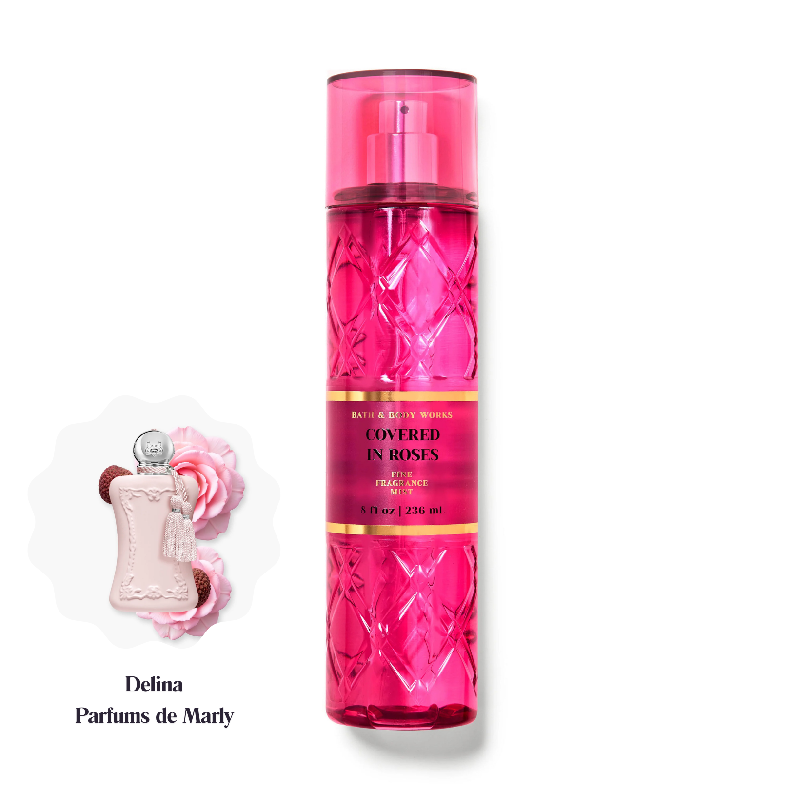 Bath &amp; Body Works Everyday Luxuries Collection Brume parfumée